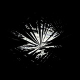 The print 'Flabellum nebulosum'